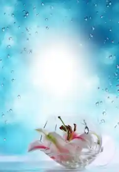 Photo effect from category Summer № 64487 Photo effect from category Summer № 64487