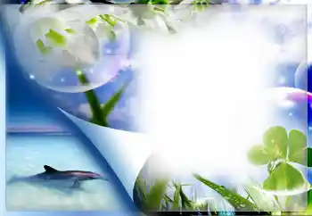 Photo effect from category Summer № 67330 Photo effect from category Summer № 67330