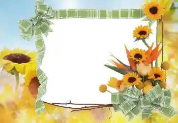 Photo effect from category Summer № 68445 Photo effect from category Summer № 68445