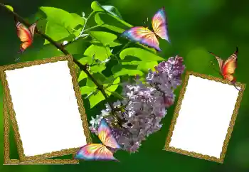 Photo effect from category Summer № 81627 Photo effect from category Summer № 81627