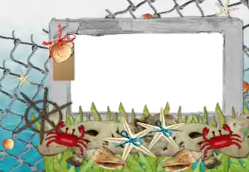 Photo effect from category Summer № 85339