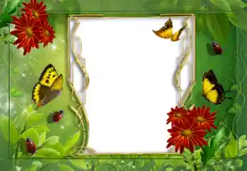 Photo effect from category Summer № 8625 Photo effect from category Summer № 8625