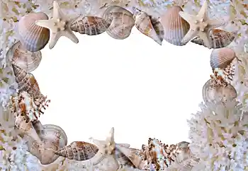 Photo effect from category Summer № 88088 Photo effect from category Summer № 88088