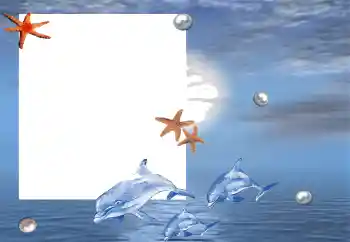 Photo effect from category Summer № 88120 Photo effect from category Summer № 88120