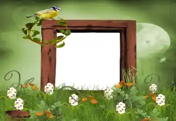 Photo effect from category Summer № 9650