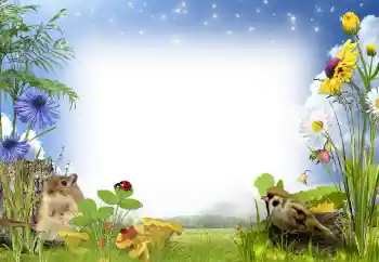 Photo effect from category Summer № 97486