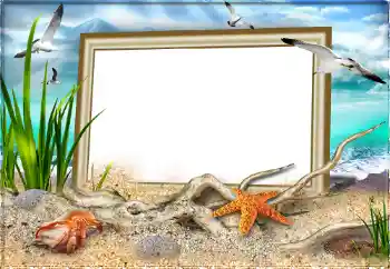 Photo effect from category Summer № 97613