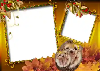 Photo effect from category Autumn № 1006