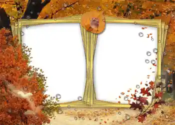 Photo effect from category Autumn № 1008