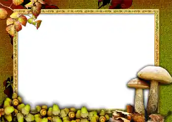 Photo effect from category Autumn № 1011