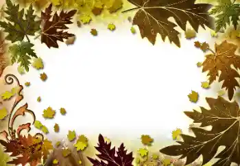 Photo effect from category Autumn № 101278