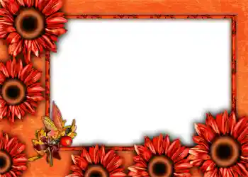 Photo effect from category Autumn № 1012