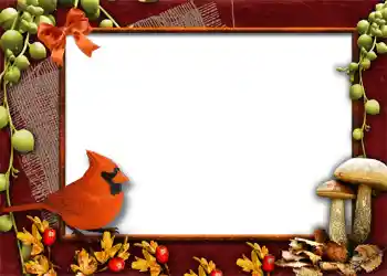 Photo effect from category Autumn № 1013