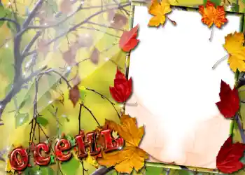 Photo effect from category Autumn № 1016