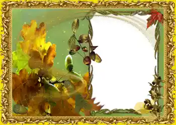 Photo effect from category Autumn № 1019