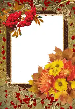 Photo effect from category Autumn № 103855