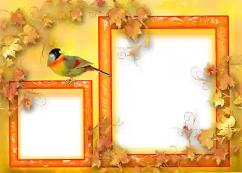 Photo effect from category Autumn № 1124