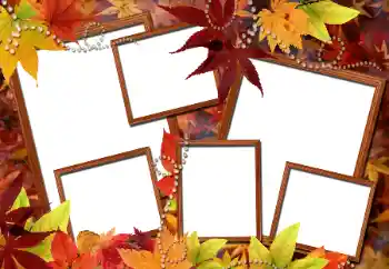 Photo effect from category Autumn № 112976