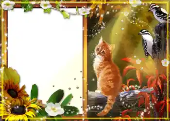 Photo effect from category Autumn № 1130