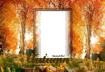 Photo effect from category Autumn № 125870