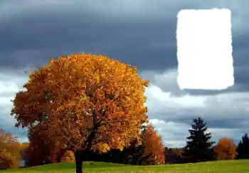 Photo effect from category Autumn № 125889