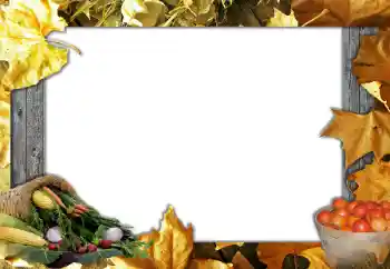 Photo effect from category Autumn № 127051