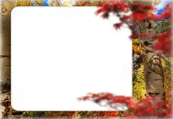 Photo effect from category Autumn № 127331