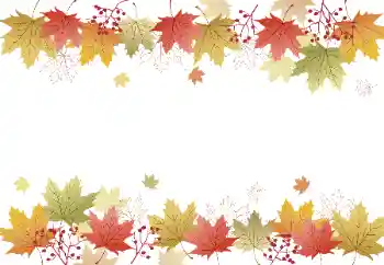 Photo effect from category Autumn № 128328