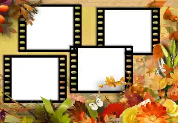 Photo effect from category Autumn № 131752 Photo effect from category Autumn № 131752