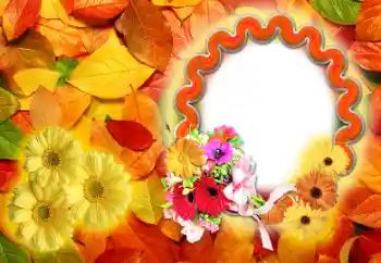 Photo effect from category Autumn № 142255 Photo effect from category Autumn № 142255