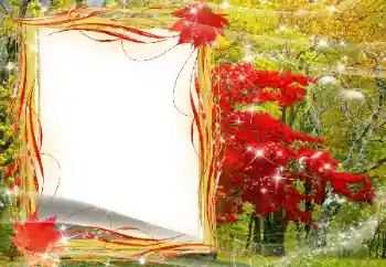 Photo effect from category Autumn № 143481 Photo effect from category Autumn № 143481