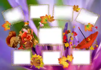 Photo effect from category Autumn № 143637 Photo effect from category Autumn № 143637