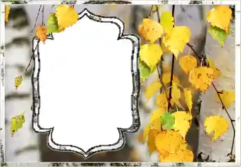 Photo effect from category Autumn № 144851 Photo effect from category Autumn № 144851