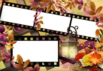 Photo effect from category Autumn № 144966 Photo effect from category Autumn № 144966