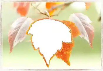 Photo effect from category Autumn № 145072 Photo effect from category Autumn № 145072