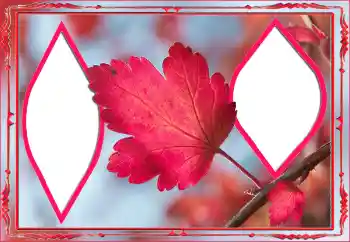 Photo effect from category Autumn № 145078 Photo effect from category Autumn № 145078