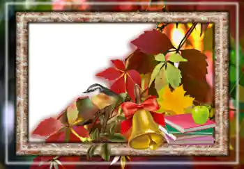 Photo effect from category Autumn № 157063 Photo effect from category Autumn № 157063