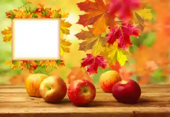 Photo effect from category Autumn № 157134 Photo effect from category Autumn № 157134