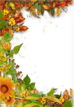 Photo effect from category Autumn № 157238 Photo effect from category Autumn № 157238