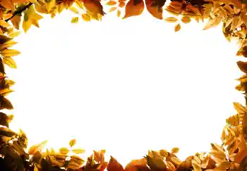 Photo effect from category Autumn № 158309 Photo effect from category Autumn № 158309