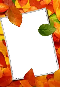 Photo effect from category Autumn № 159508 Photo effect from category Autumn № 159508