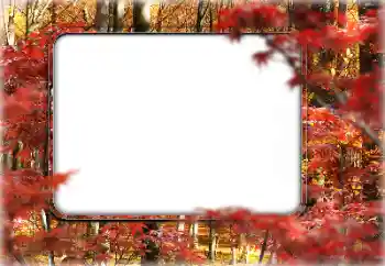 Photo effect from category Autumn № 160546 Photo effect from category Autumn № 160546