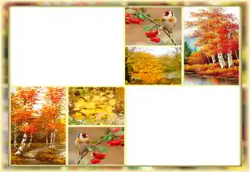 Photo effect from category Autumn № 160654 Photo effect from category Autumn № 160654