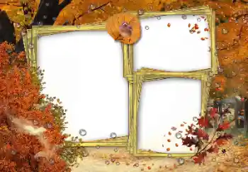 Photo effect from category Autumn № 162180