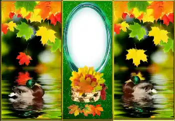 Photo effect from category Autumn № 163512