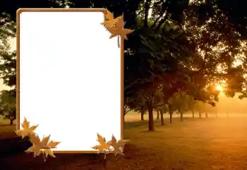 Photo effect from category Autumn № 166423