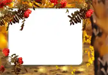 Photo effect from category Autumn № 166546