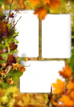 Photo effect from category Autumn № 176614