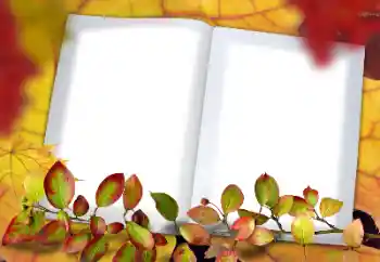 Photo effect from category Autumn № 182190