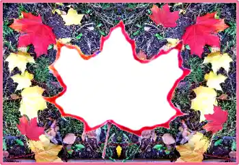 Photo effect from category Autumn № 190569